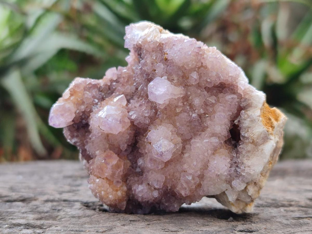 Natural Spirit Amethyst Clusters x 24 From Boekenhouthoek, South Africa - Toprock Gemstones and Minerals 