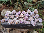 Natural Spirit Amethyst Clusters x 24 From Boekenhouthoek, South Africa - Toprock Gemstones and Minerals 