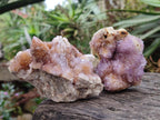 Natural Spirit Amethyst Clusters x 24 From Boekenhouthoek, South Africa - Toprock Gemstones and Minerals 