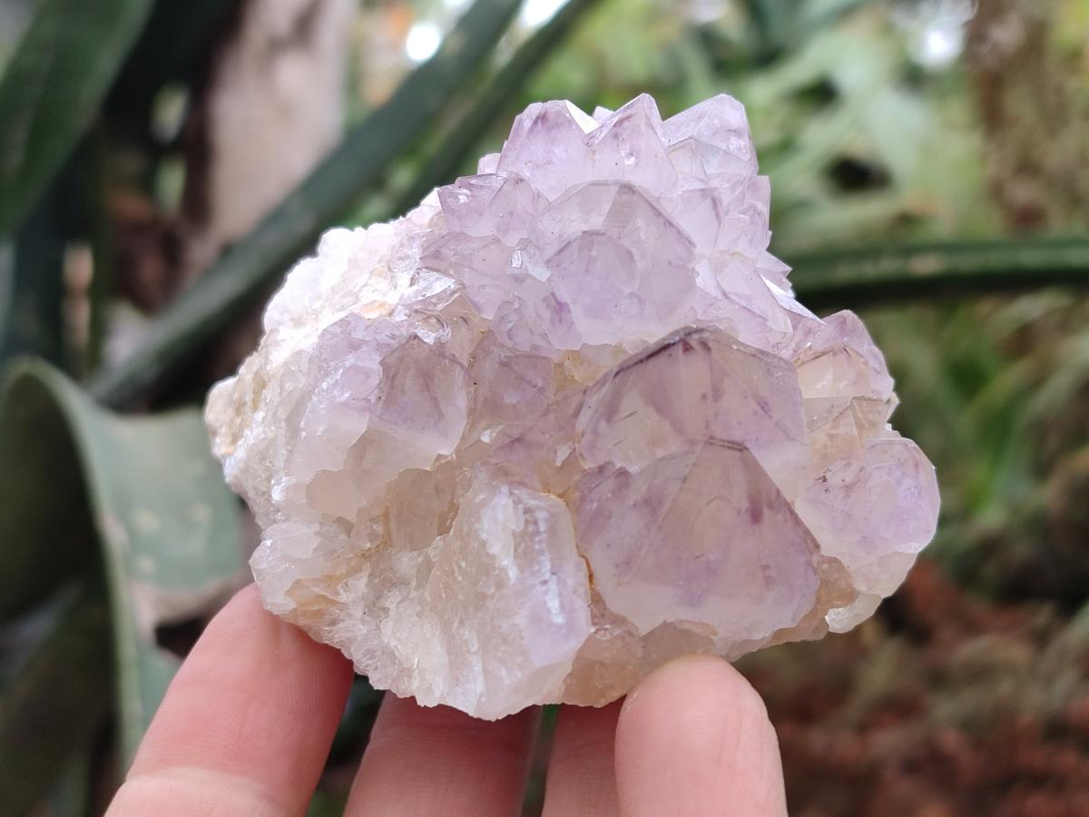 Natural Spirit Amethyst Clusters x 24 From Boekenhouthoek, South Africa - Toprock Gemstones and Minerals 