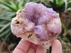 Natural Spirit Amethyst Clusters x 24 From Boekenhouthoek, South Africa - Toprock Gemstones and Minerals 