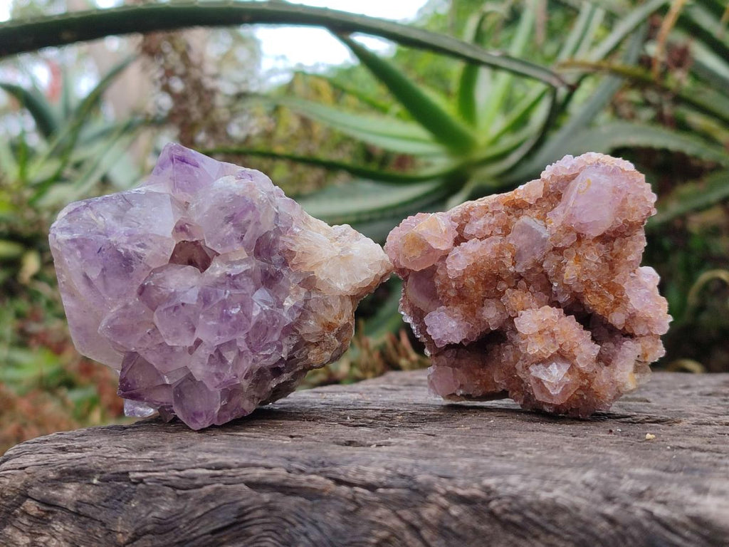 Natural Spirit Amethyst Clusters x 24 From Boekenhouthoek, South Africa - Toprock Gemstones and Minerals 