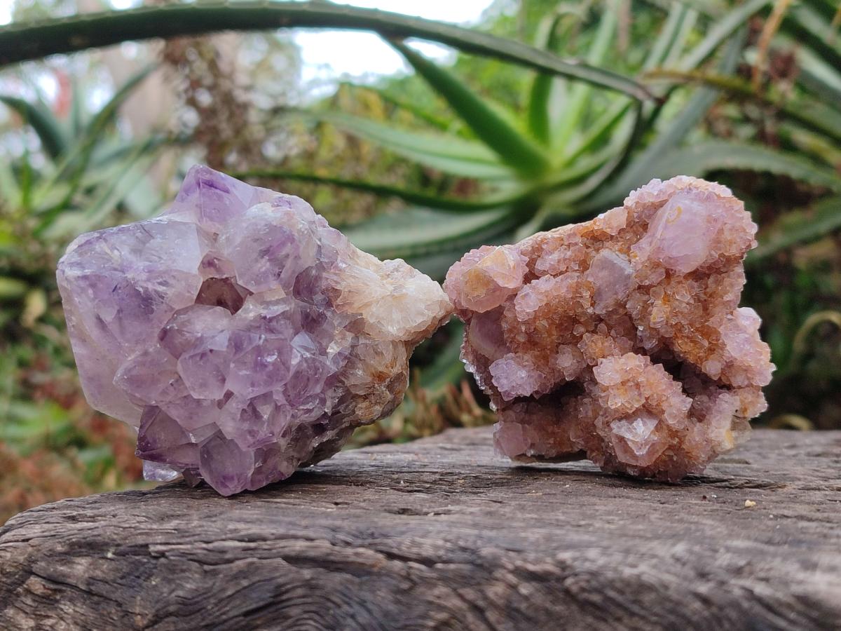 Natural Spirit Amethyst Clusters x 24 From Boekenhouthoek, South Africa - Toprock Gemstones and Minerals 