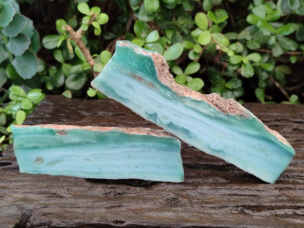 Polished One Side Mtorolite Chrysoprase Slices x 12 From Mutorashanga, Zimbabwe - Toprock Gemstones and Minerals 
