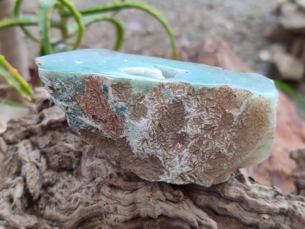 Polished One Side Mtorolite Chrysoprase Slices x 12 From Mutorashanga, Zimbabwe - Toprock Gemstones and Minerals 