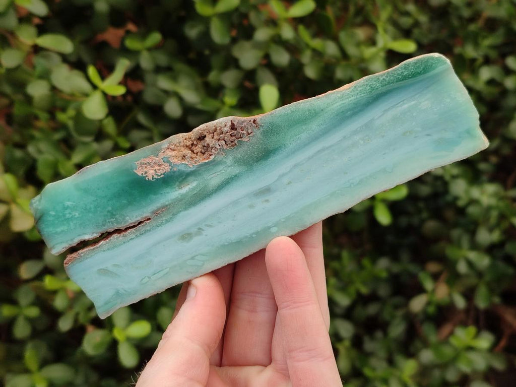 Polished One Side Mtorolite Chrysoprase Slices x 12 From Mutorashanga, Zimbabwe - Toprock Gemstones and Minerals 