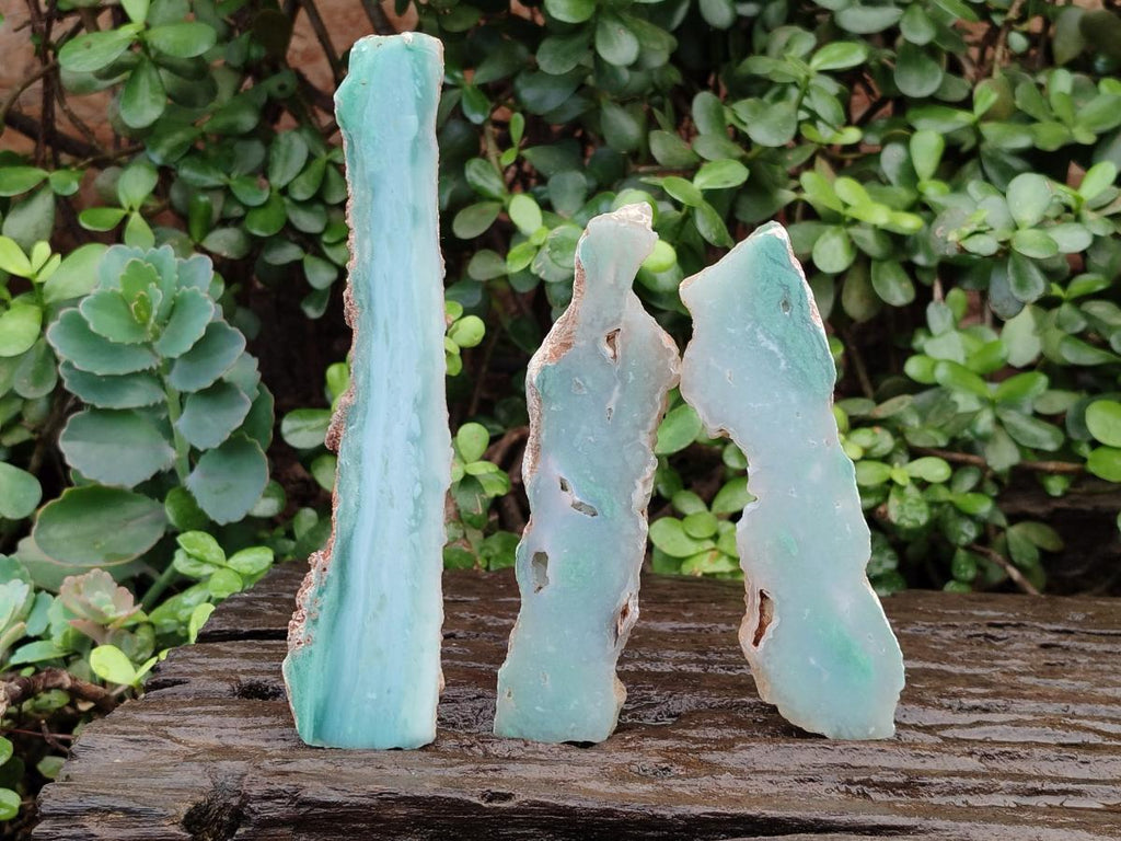 Polished One Side Mtorolite Chrysoprase Slices x 12 From Mutorashanga, Zimbabwe - Toprock Gemstones and Minerals 