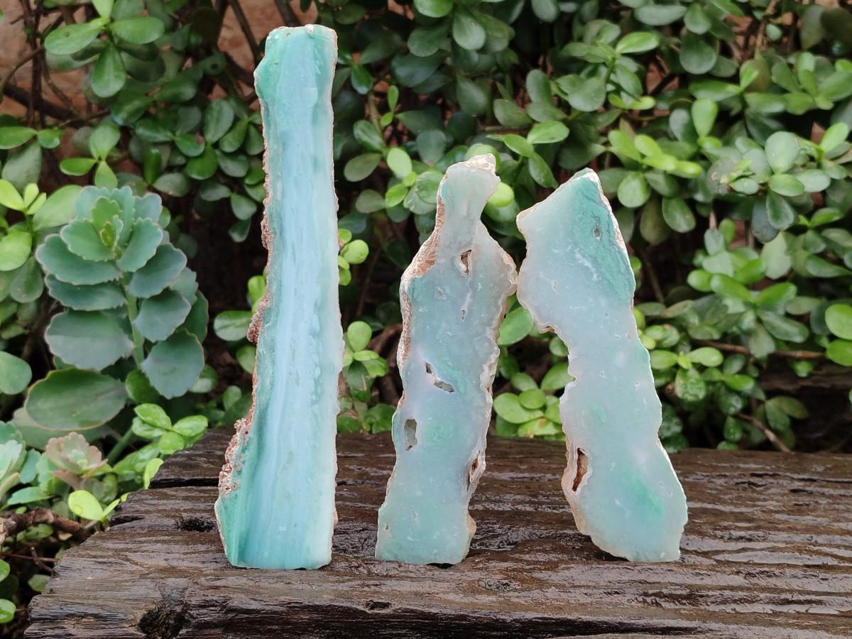 Polished One Side Mtorolite Chrysoprase Slices x 12 From Mutorashanga, Zimbabwe - Toprock Gemstones and Minerals 