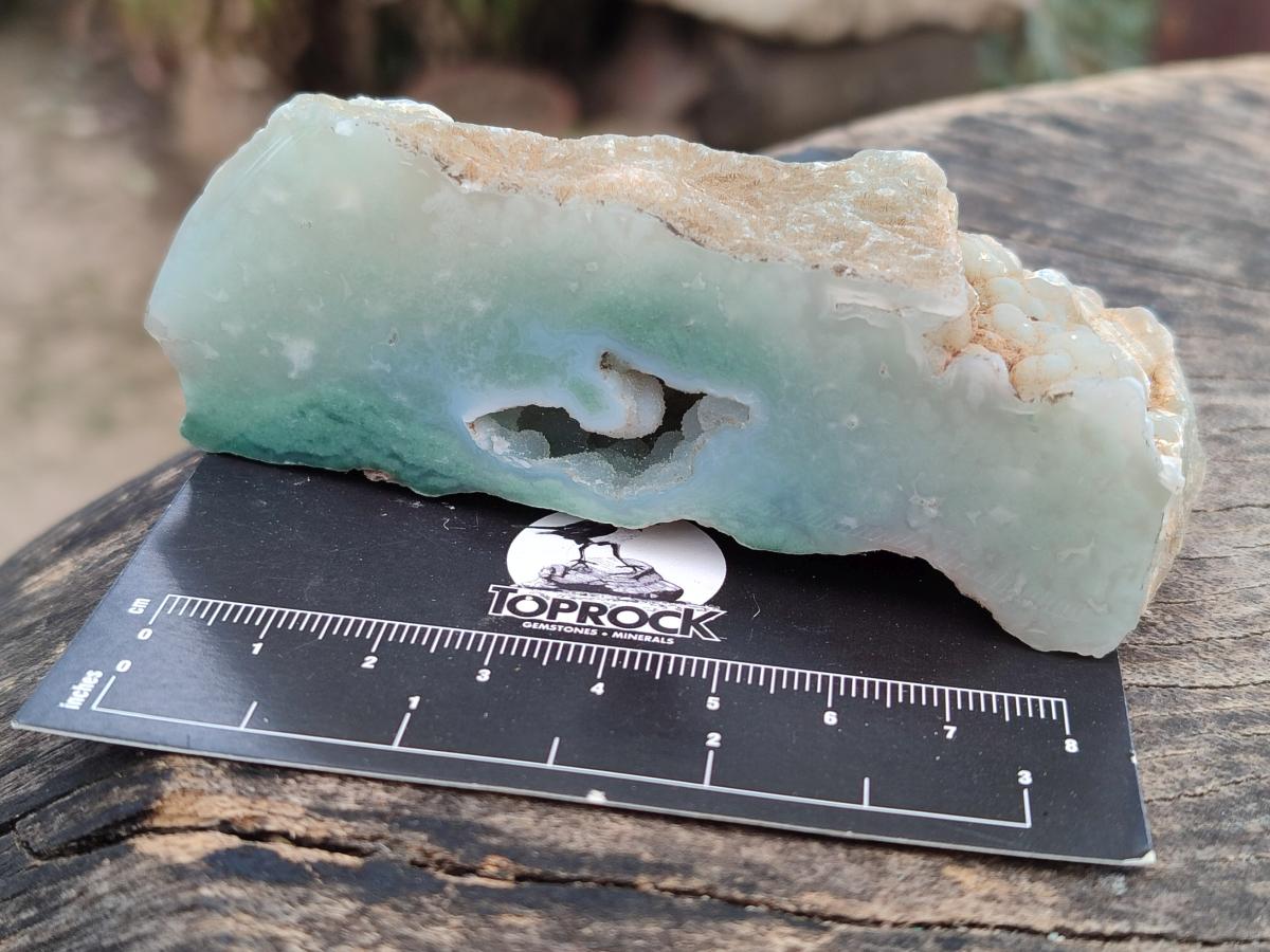 Polished One Side Mtorolite Chrysoprase Slices x 12 From Mutorashanga, Zimbabwe - Toprock Gemstones and Minerals 