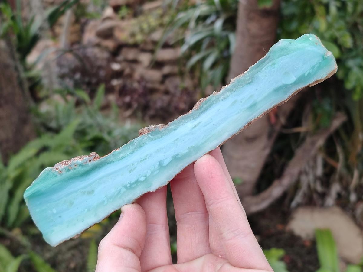 Polished One Side Mtorolite Chrysoprase Slices x 12 From Mutorashanga, Zimbabwe - Toprock Gemstones and Minerals 