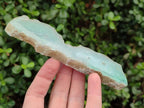 Polished One Side Mtorolite Chrysoprase Slices x 12 From Mutorashanga, Zimbabwe - Toprock Gemstones and Minerals 
