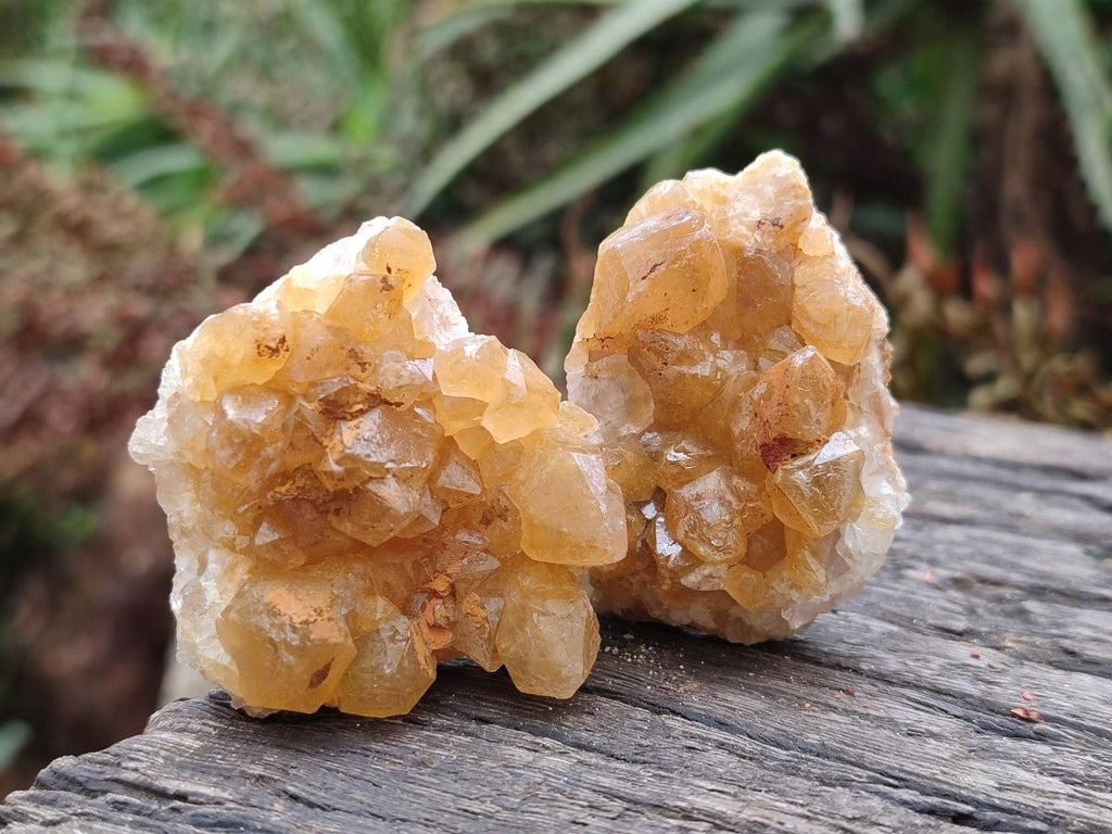 Natural Golden Limonite Quartz Clusters x 35 From Solwezi, Zambia - Toprock Gemstones and Minerals 