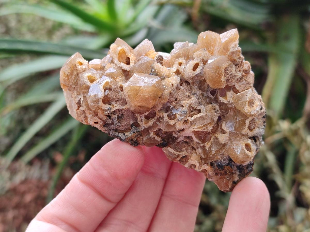 Natural Golden Limonite Quartz Clusters x 35 From Solwezi, Zambia - Toprock Gemstones and Minerals 