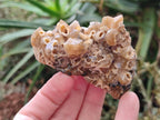 Natural Golden Limonite Quartz Clusters x 35 From Solwezi, Zambia - Toprock Gemstones and Minerals 