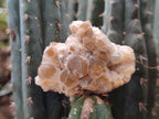 Natural Golden Limonite Quartz Clusters x 35 From Solwezi, Zambia - Toprock Gemstones and Minerals 