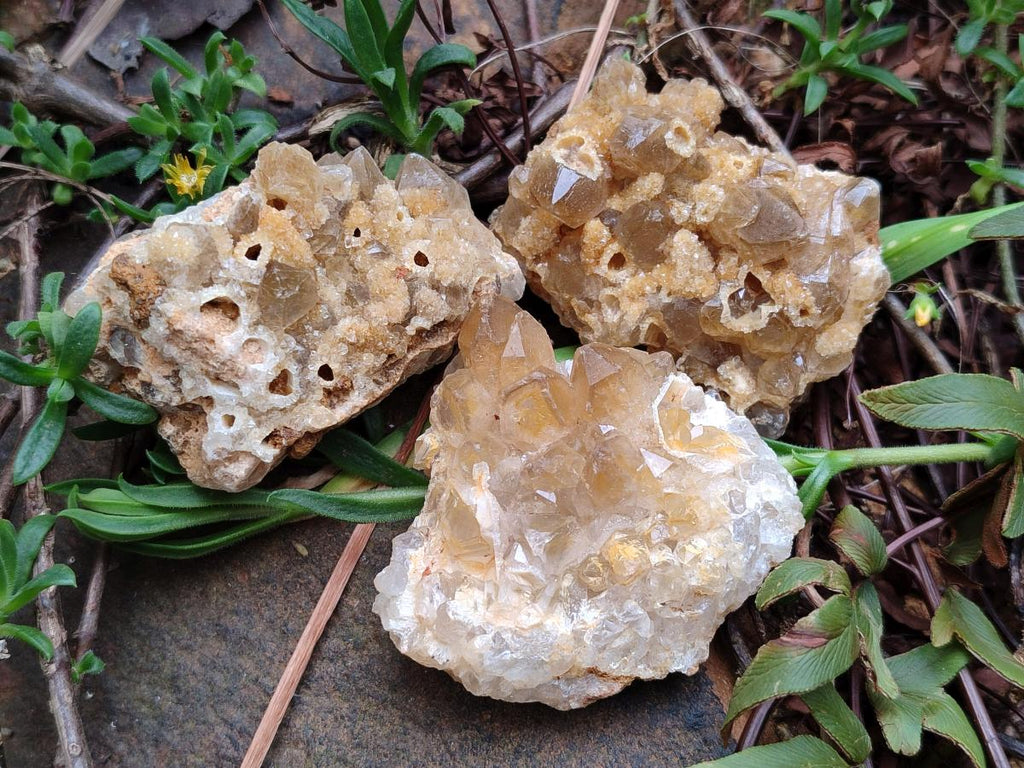 Natural Golden Limonite Quartz Clusters x 35 From Solwezi, Zambia - Toprock Gemstones and Minerals 