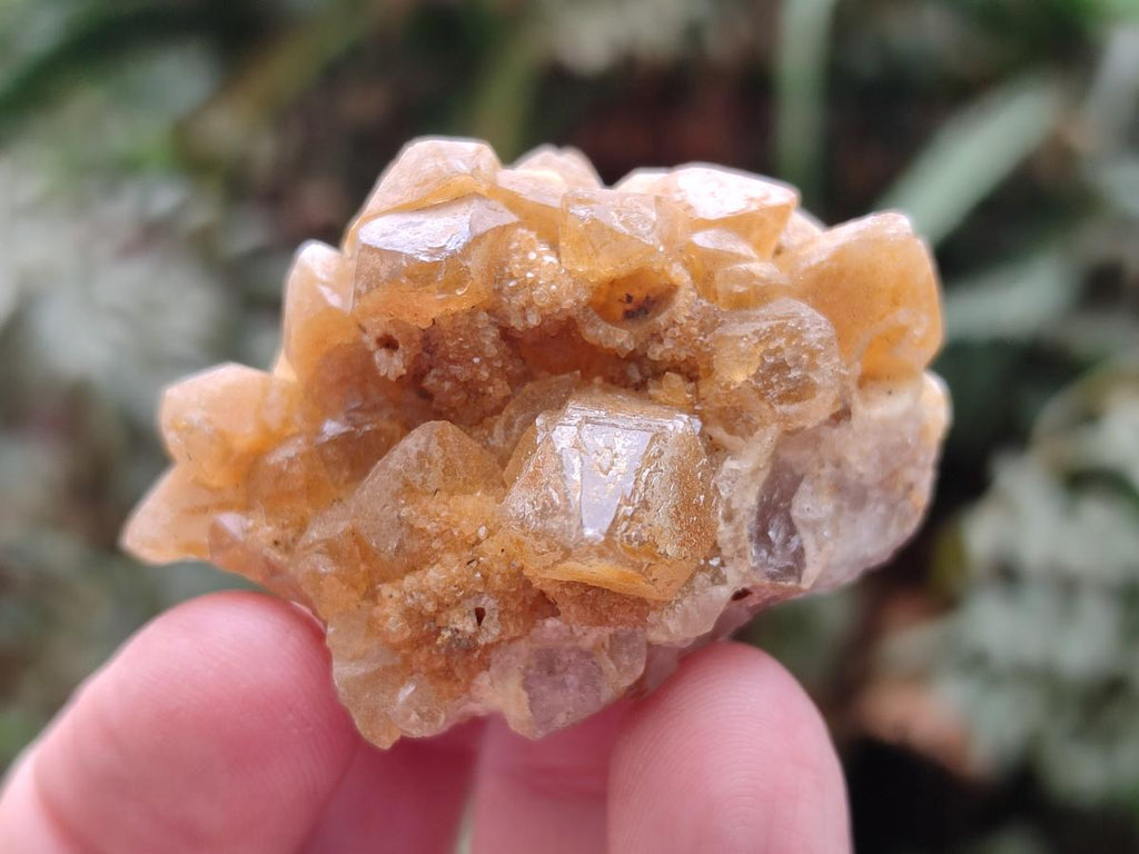 Natural Golden Limonite Quartz Clusters x 35 From Solwezi, Zambia - Toprock Gemstones and Minerals 