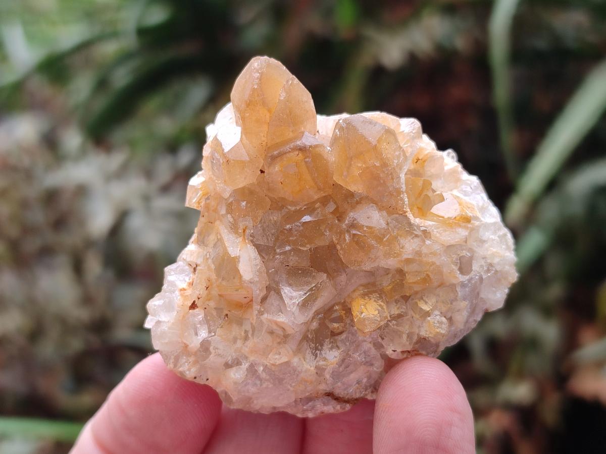 Natural Golden Limonite Quartz Clusters x 35 From Solwezi, Zambia - Toprock Gemstones and Minerals 
