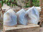 Polished Banded Agate House Shaped Slices x 12 From Madagascar - Toprock Gemstones and Minerals 