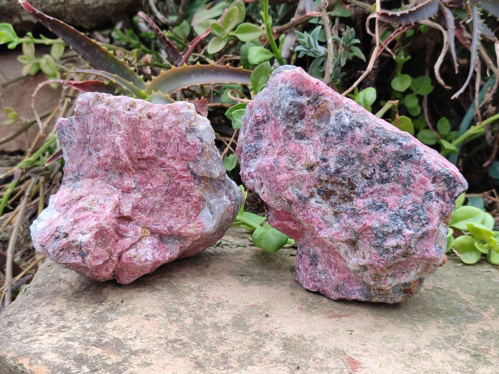 Natural Cobbed Rhodonite Specimens x 6 From Rhusinga, Zimbabwe - Toprock Gemstones and Minerals 