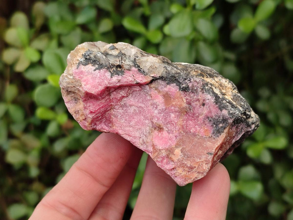Natural Cobbed Rhodonite Specimens x 6 From Rhusinga, Zimbabwe - Toprock Gemstones and Minerals 