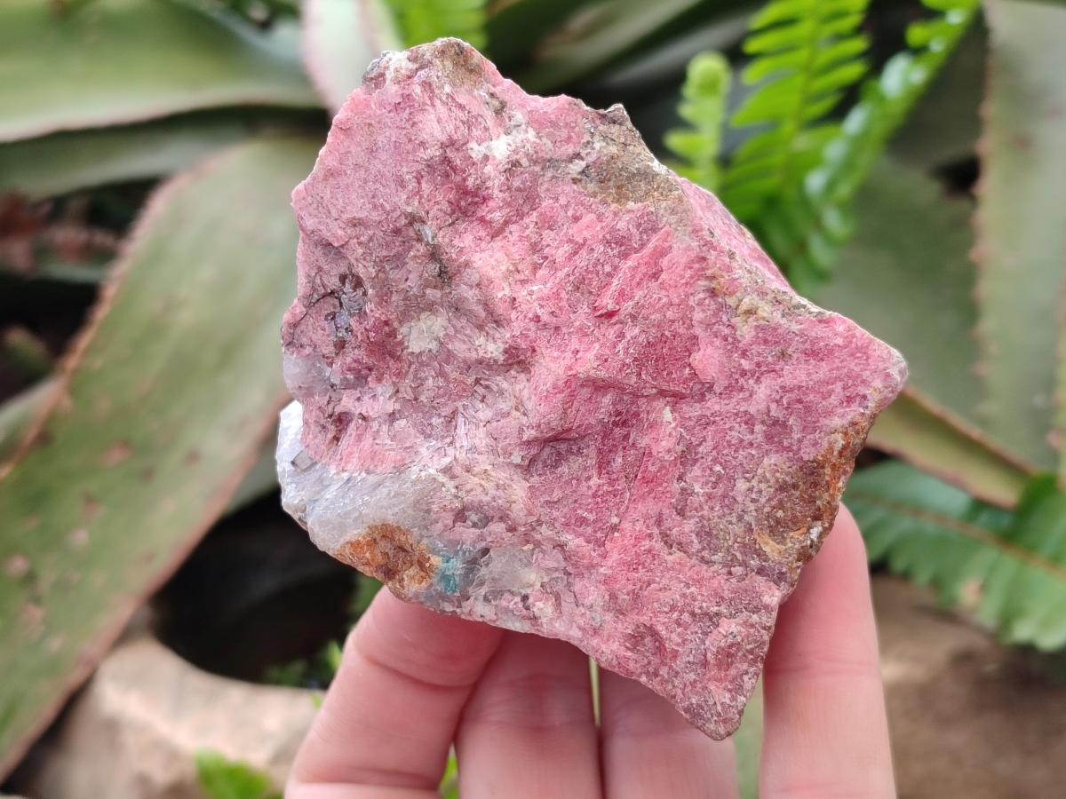 Natural Cobbed Rhodonite Specimens x 6 From Rhusinga, Zimbabwe - Toprock Gemstones and Minerals 