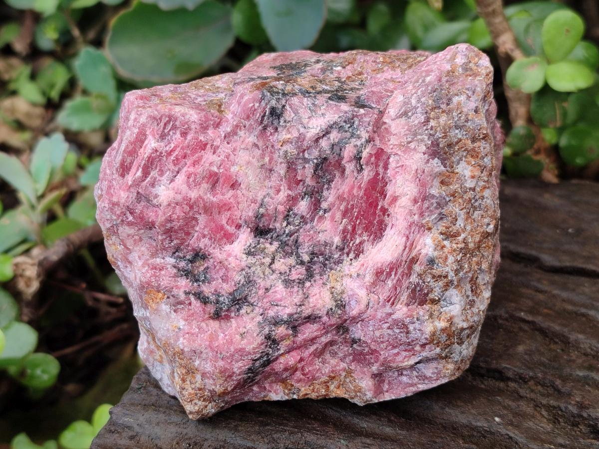 Natural Cobbed Rhodonite Specimens x 6 From Rhusinga, Zimbabwe - Toprock Gemstones and Minerals 