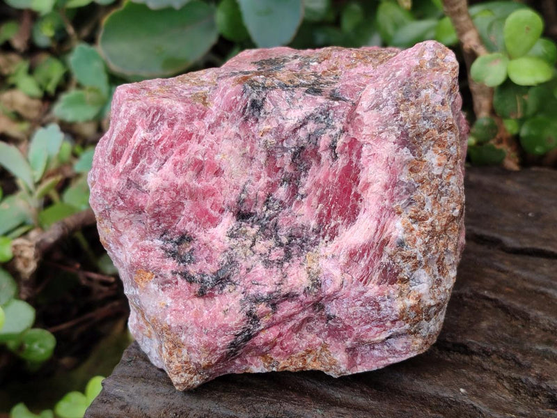 Natural Cobbed Rhodonite Specimens x 6 From Rhusinga, Zimbabwe - Toprock Gemstones and Minerals 