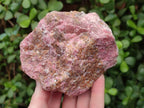 Natural Cobbed Rhodonite Specimens x 6 From Rhusinga, Zimbabwe - Toprock Gemstones and Minerals 