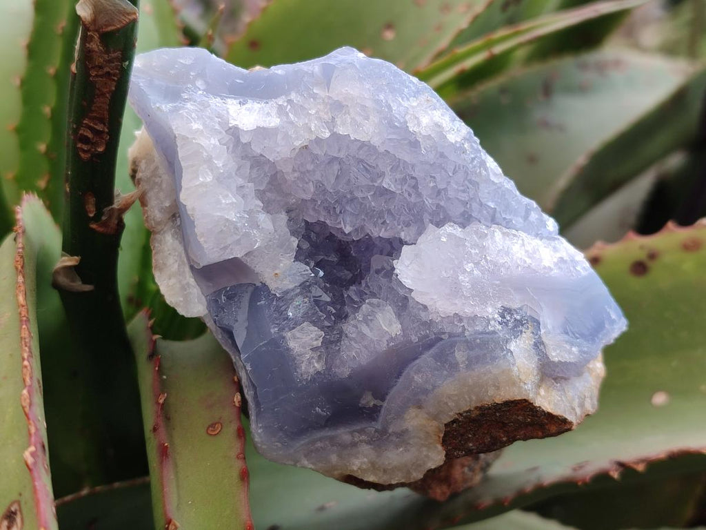 Natural Blue Lace Agate Geode Specimens x 6 From Nsanje, Malawi - Toprock Gemstones and Minerals 