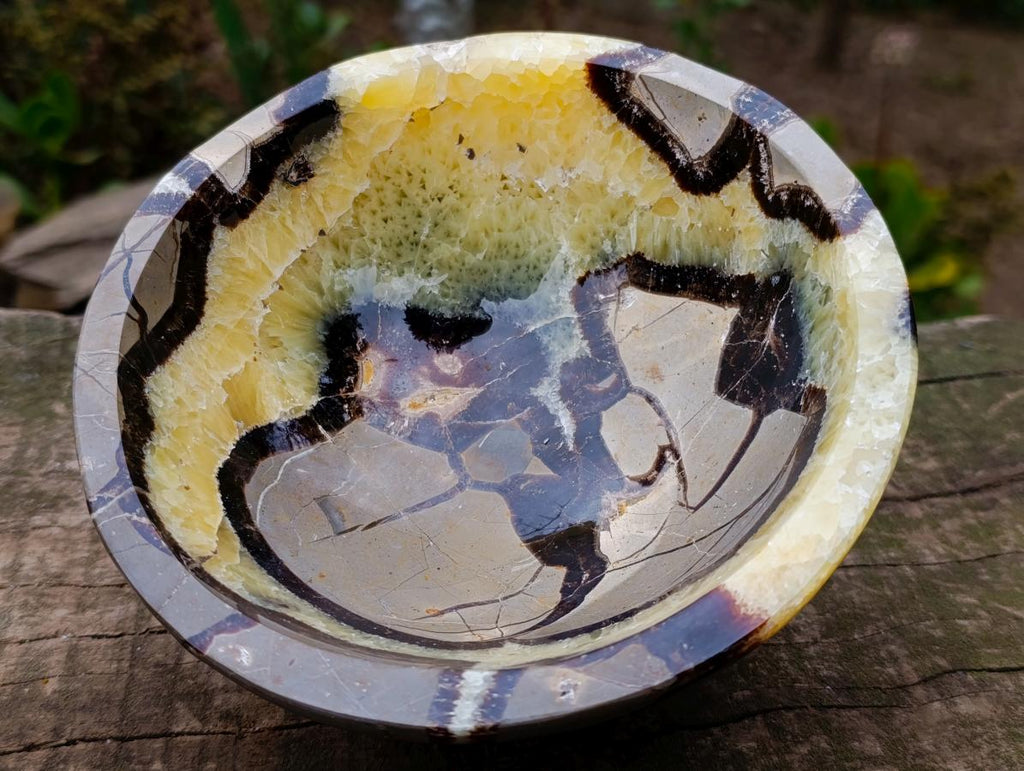Polished Large Septerye Bowl x 1 From Mahajanga, Madagascar - Toprock Gemstones and Minerals 