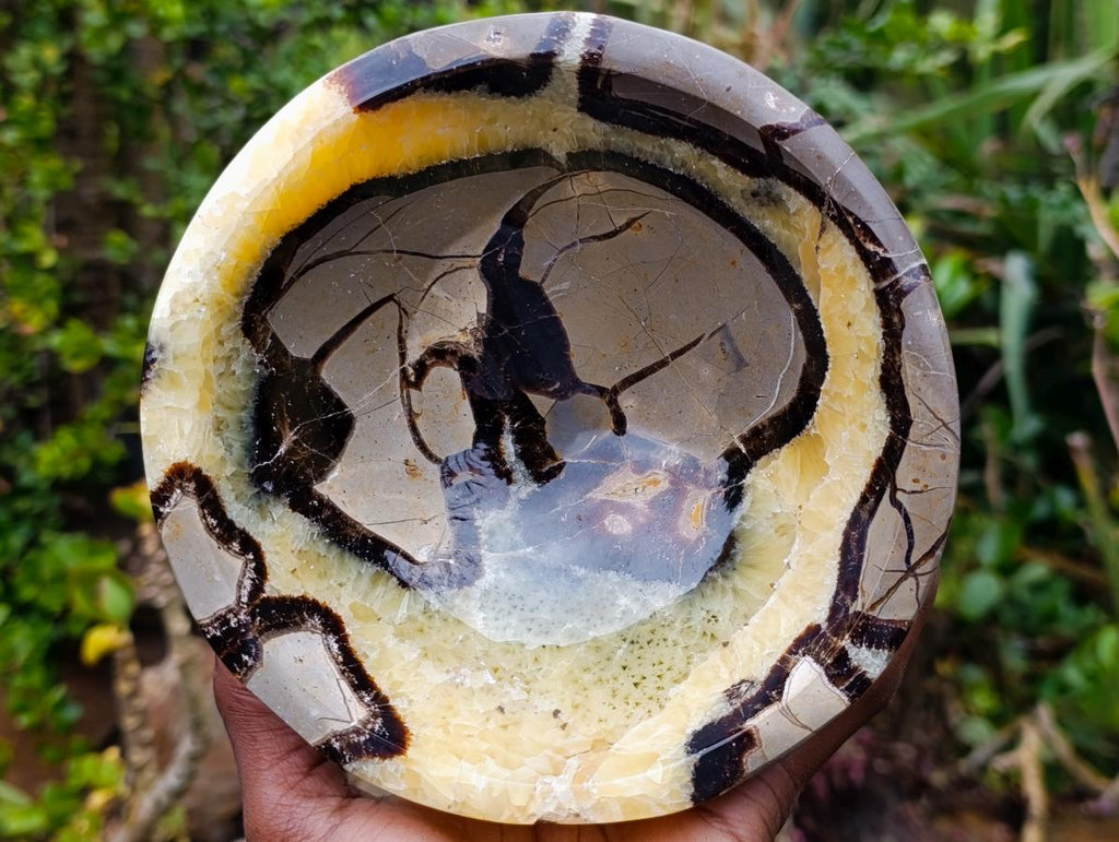 Polished Large Septerye Bowl x 1 From Mahajanga, Madagascar - Toprock Gemstones and Minerals 