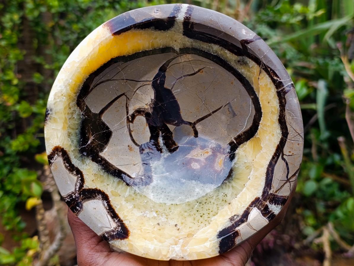 Polished Large Septerye Bowl x 1 From Mahajanga, Madagascar - Toprock Gemstones and Minerals 