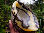 Polished Large Septerye Bowl x 1 From Mahajanga, Madagascar - Toprock Gemstones and Minerals 