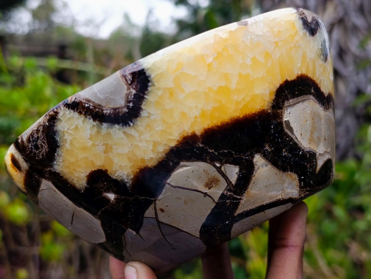 Polished Large Septerye Bowl x 1 From Mahajanga, Madagascar - Toprock Gemstones and Minerals 