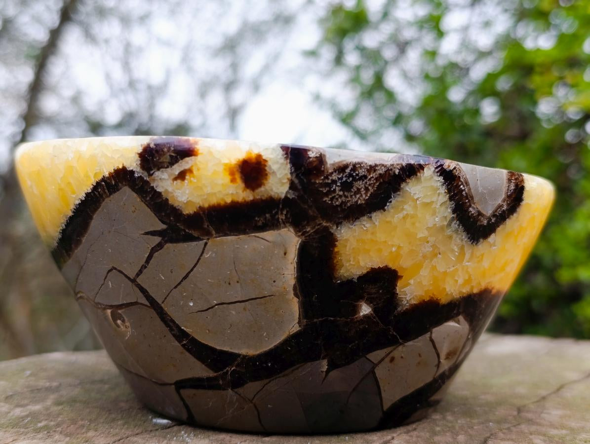Polished Large Septerye Bowl x 1 From Mahajanga, Madagascar - Toprock Gemstones and Minerals 