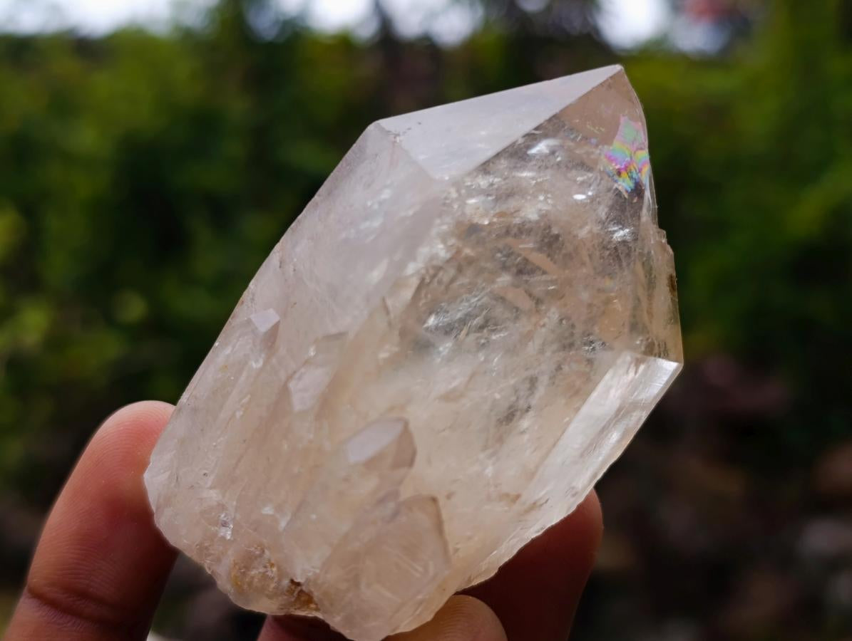 Natural Cascading Clear Champagne Citrine Quartz Crystals and Clusters x 12 From Luena, Congo - Toprock Gemstones and Minerals 