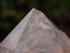 Natural Cascading Clear Champagne Citrine Quartz Crystals and Clusters x 12 From Luena, Congo - Toprock Gemstones and Minerals 
