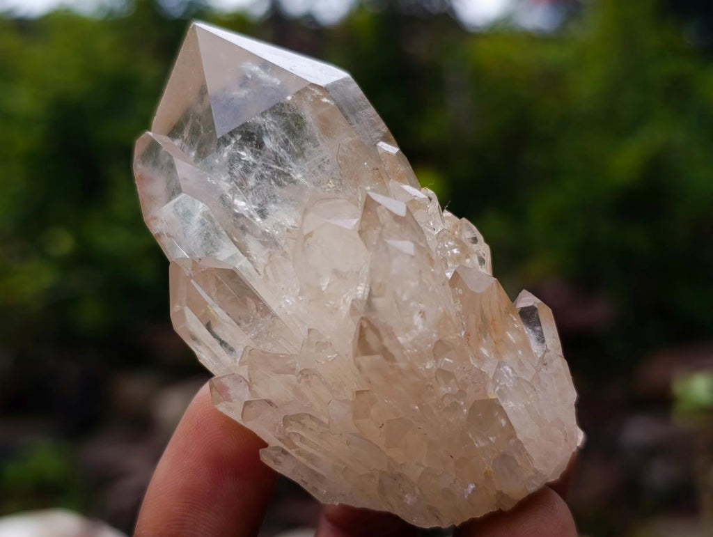 Natural Cascading Clear Champagne Citrine Quartz Crystals and Clusters x 12 From Luena, Congo - Toprock Gemstones and Minerals 