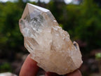 Natural Cascading Clear Champagne Citrine Quartz Crystals and Clusters x 12 From Luena, Congo - Toprock Gemstones and Minerals 