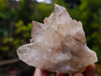 Natural Cascading Clear Champagne Citrine Quartz Crystals and Clusters x 12 From Luena, Congo - Toprock Gemstones and Minerals 
