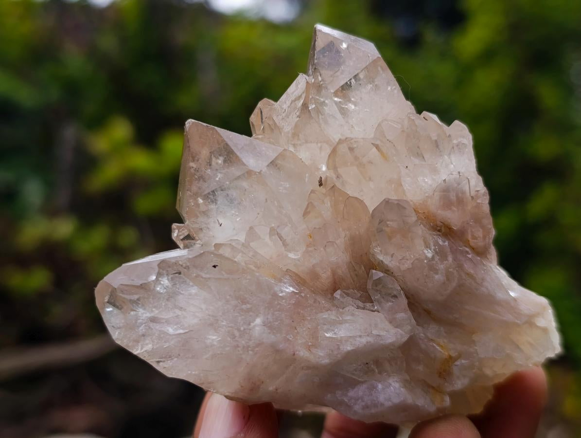Natural Cascading Clear Champagne Citrine Quartz Crystals and Clusters x 12 From Luena, Congo - Toprock Gemstones and Minerals 