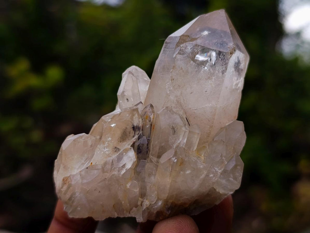 Natural Cascading Clear Champagne Citrine Quartz Crystals and Clusters x 12 From Luena, Congo - Toprock Gemstones and Minerals 