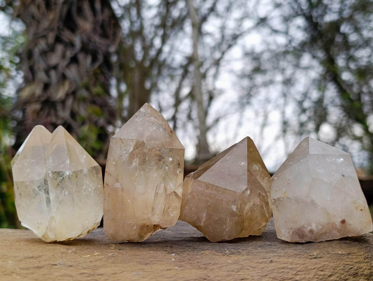 Natural Cascading Clear Champagne Citrine Quartz Crystals and Clusters x 12 From Luena, Congo - Toprock Gemstones and Minerals 