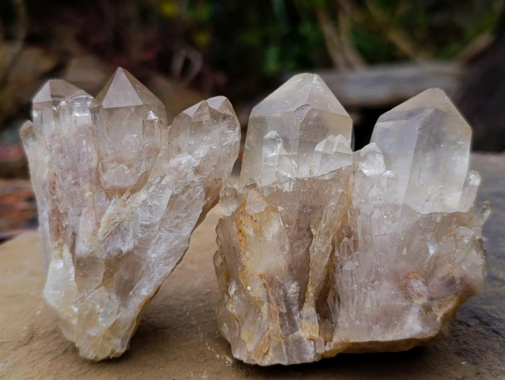 Natural Cascading Clear Champagne Citrine Quartz Crystals and Clusters x 12 From Luena, Congo - Toprock Gemstones and Minerals 