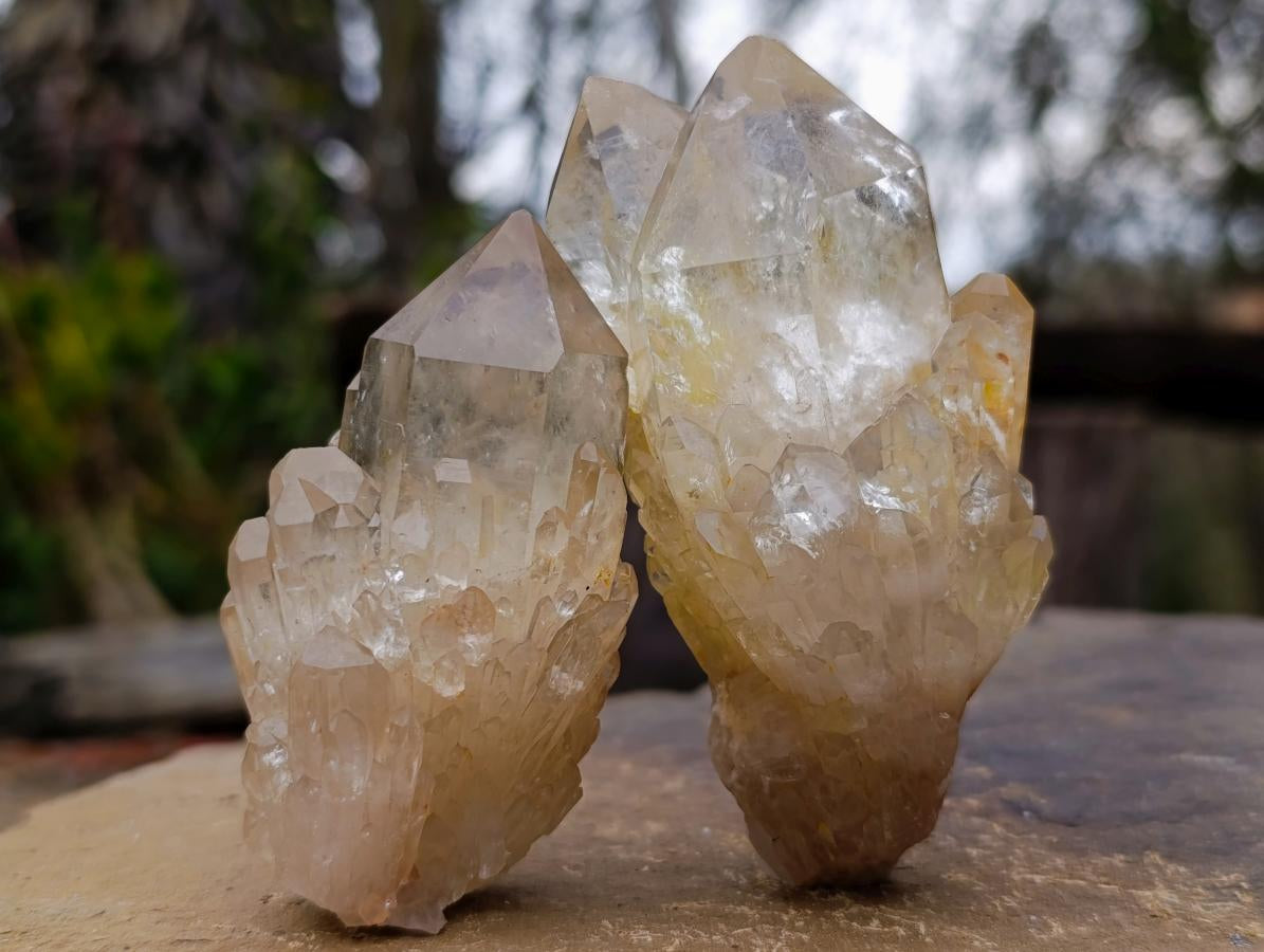 Natural Cascading Clear Champagne Citrine Quartz Crystals and Clusters x 12 From Luena, Congo - Toprock Gemstones and Minerals 