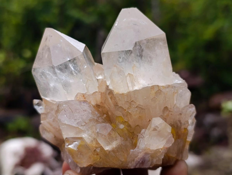Natural Cascading Clear Champagne Citrine Quartz Crystals and Clusters x 12 From Luena, Congo - Toprock Gemstones and Minerals 