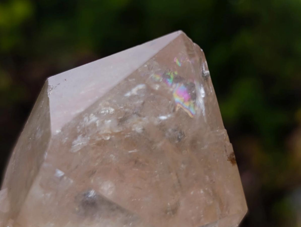 Natural Cascading Clear Champagne Citrine Quartz Crystals and Clusters x 12 From Luena, Congo - Toprock Gemstones and Minerals 
