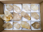 Natural Cascading Clear Champagne Citrine Quartz Crystals and Clusters x 12 From Luena, Congo - Toprock Gemstones and Minerals 