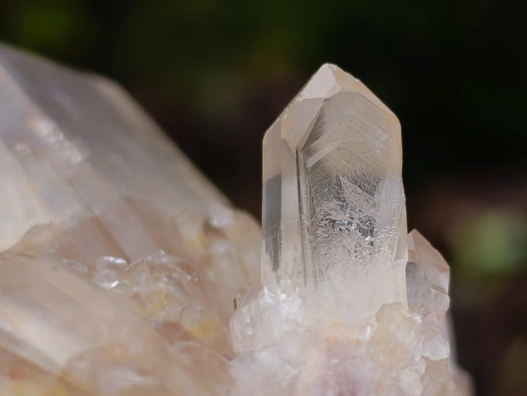 Natural Cascading Clear Champagne Citrine Quartz Crystals and Clusters x 12 From Luena, Congo - Toprock Gemstones and Minerals 
